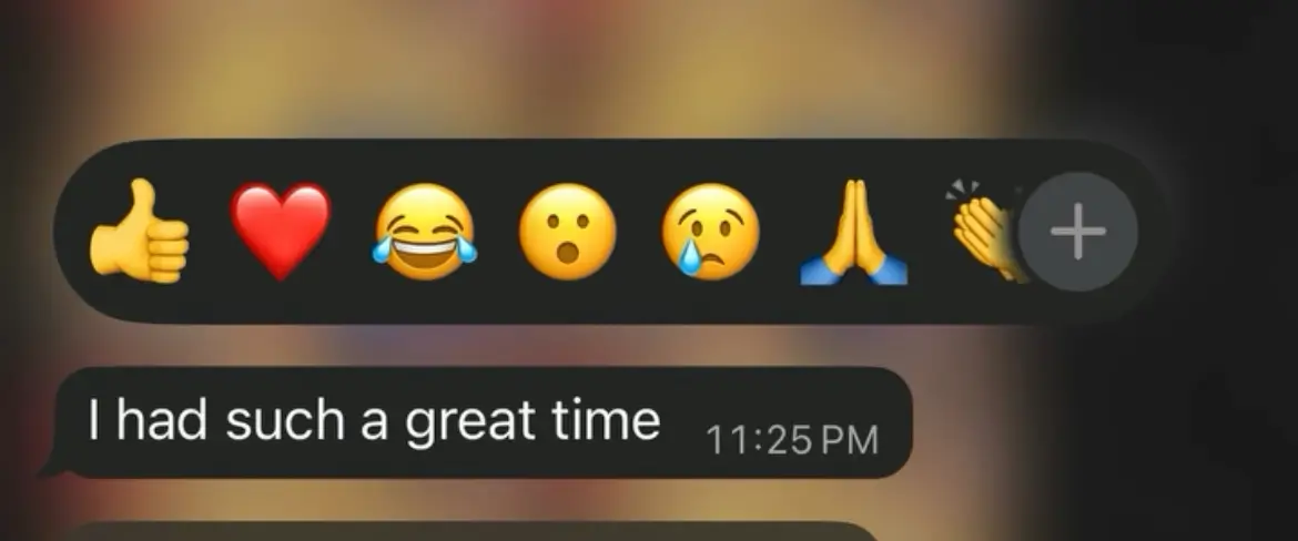 WhatsApp message from a guest: I had such a great time