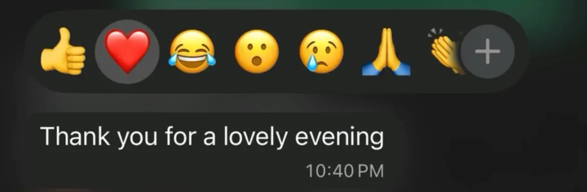 WhatsApp message from a guest: Thank you for a lovely evening